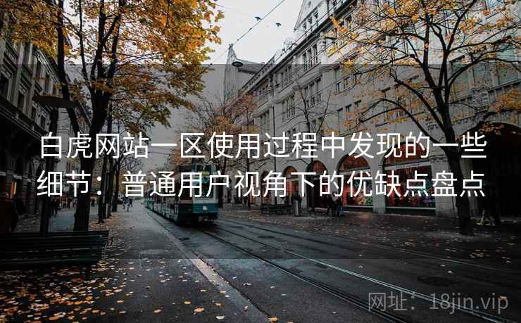 白虎网站一区使用过程中发现的一些细节：普通用户视角下的优缺点盘点