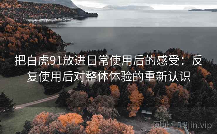 把白虎91放进日常使用后的感受:反复使用后对整体体验的重新认识 把白虎91放进日常使用后的感受:反复使用后对整体体验的重新认识