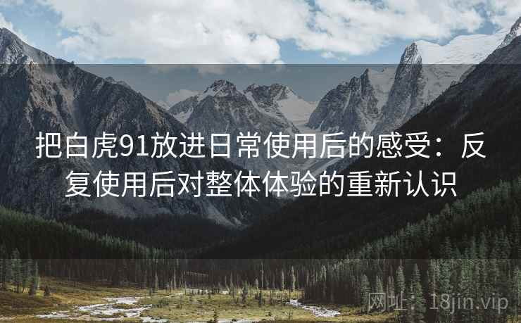 把白虎91放进日常使用后的感受:反复使用后对整体体验的重新认识 把白虎91放进日常使用后的感受:反复使用后对整体体验的重新认识