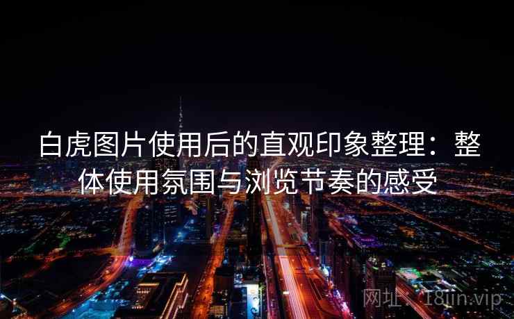 白虎图片使用后的直观印象整理：整体使用氛围与浏览节奏的感受
