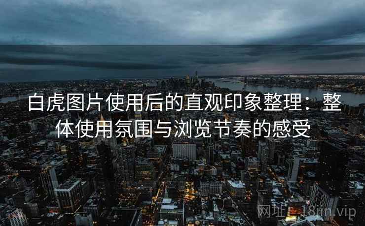 白虎图片使用后的直观印象整理：整体使用氛围与浏览节奏的感受