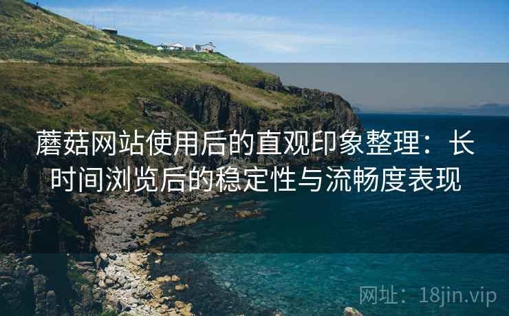 蘑菇网站使用后的直观印象整理：长时间浏览后的稳定性与流畅度表现