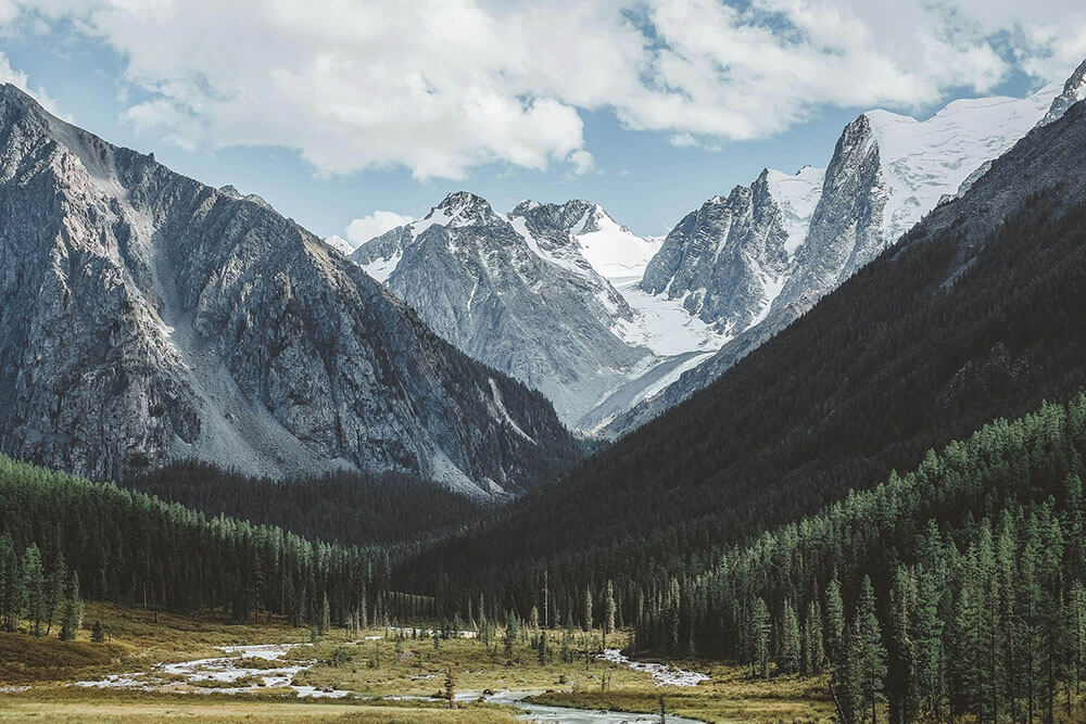 白虎嫩白的一次真实使用体验：整体使用氛围与浏览节奏的感受