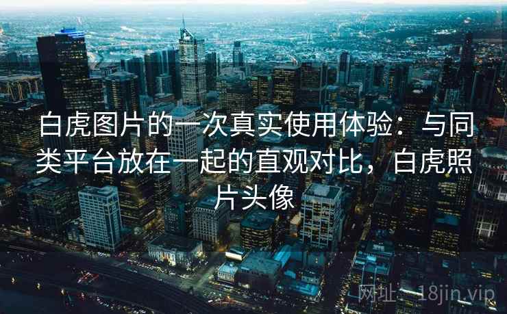 白虎图片的一次真实使用体验：与同类平台放在一起的直观对比，白虎照片头像