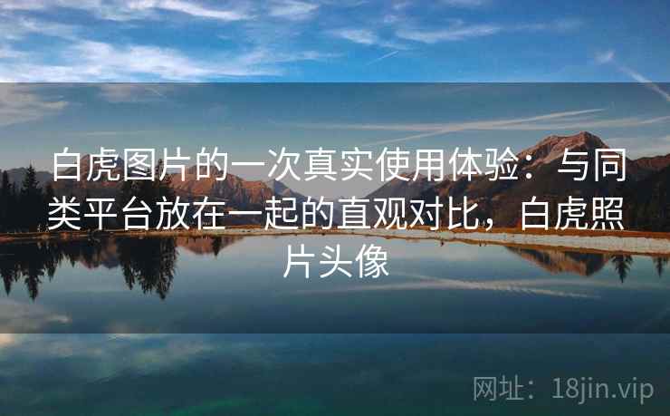 白虎图片的一次真实使用体验：与同类平台放在一起的直观对比，白虎照片头像