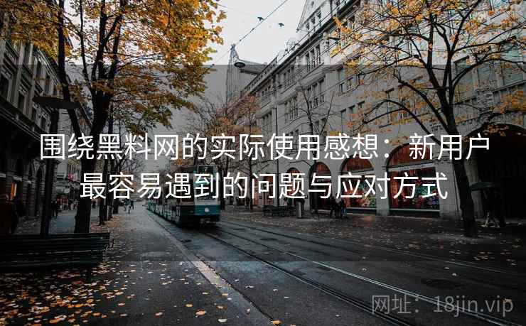 围绕黑料网的实际使用感想：新用户最容易遇到的问题与应对方式