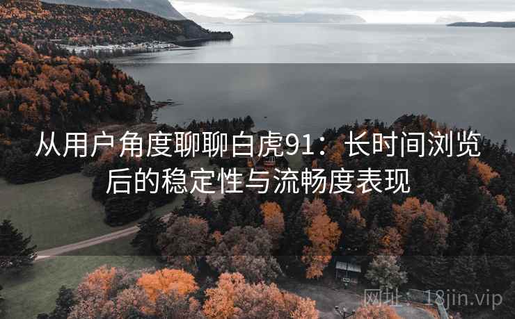 从用户角度聊聊白虎91：长时间浏览后的稳定性与流畅度表现