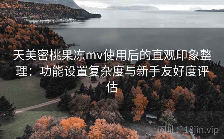 天美密桃果冻mv使用后的直观印象整理：功能设置复杂度与新手友好度评估