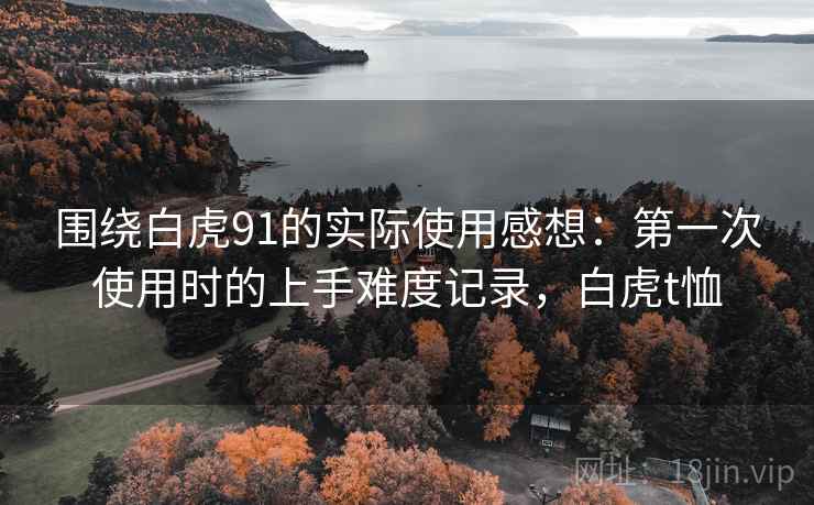 围绕白虎91的实际使用感想：第一次使用时的上手难度记录，白虎t恤