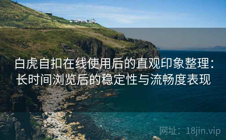 白虎自扣在线使用后的直观印象整理：长时间浏览后的稳定性与流畅度表现