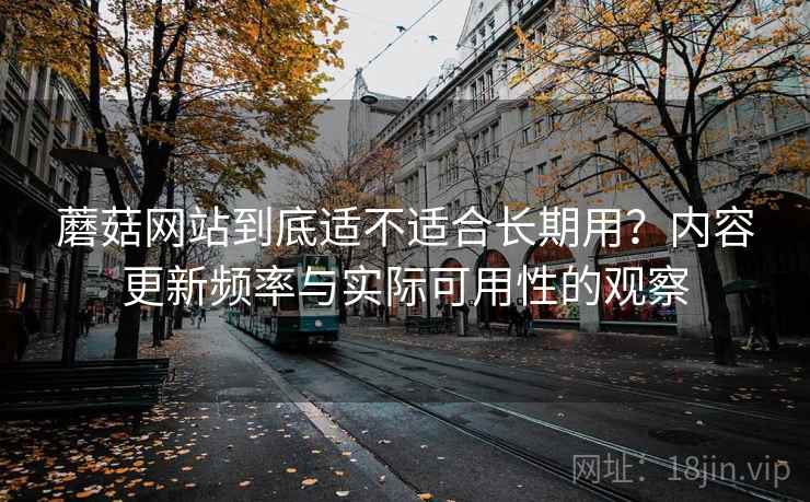 蘑菇网站到底适不适合长期用？内容更新频率与实际可用性的观察