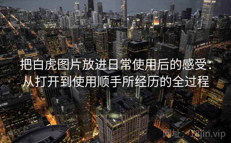 把白虎图片放进日常使用后的感受：从打开到使用顺手所经历的全过程