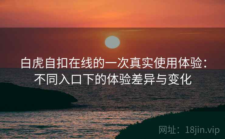 白虎自扣在线的一次真实使用体验：不同入口下的体验差异与变化