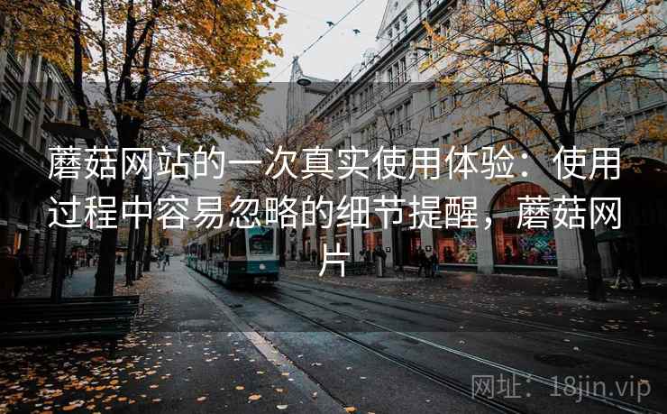 蘑菇网站的一次真实使用体验：使用过程中容易忽略的细节提醒，蘑菇网片