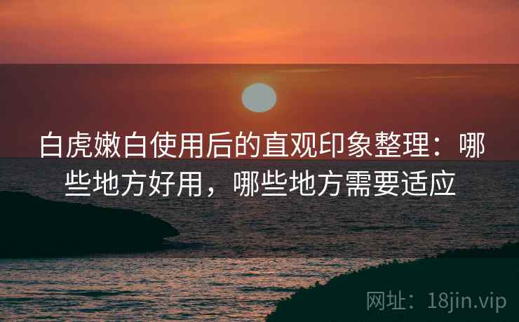 白虎嫩白使用后的直观印象整理:哪些地方好用,哪些地方需要适应 白虎嫩白使用后的直观印象整理:哪些地方好用,哪些地方需要适应