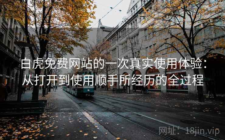 白虎免费网站的一次真实使用体验：从打开到使用顺手所经历的全过程
