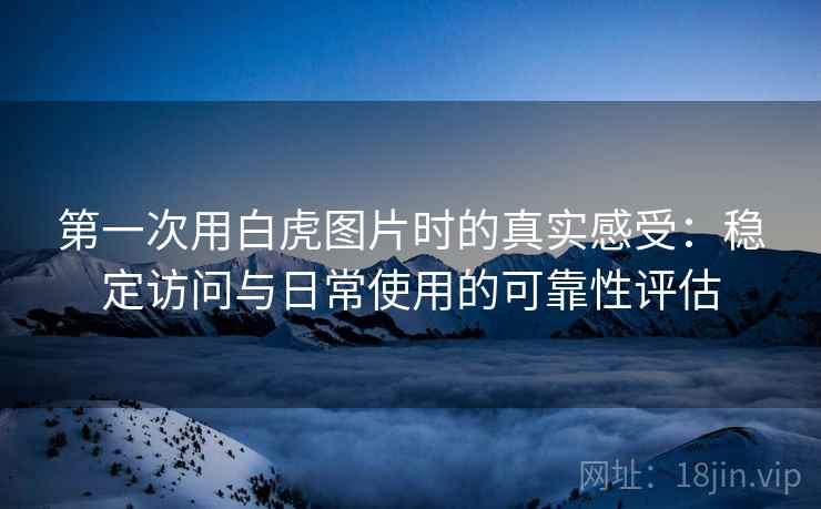 第一次用白虎图片时的真实感受:稳定访问与日常使用的可靠性评估 第一次用白虎图片时的真实感受:稳定访问与日常使用的可靠性评估