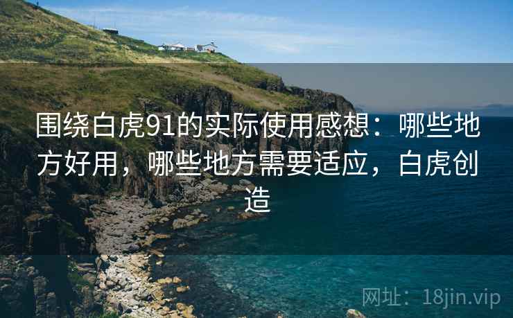 围绕白虎91的实际使用感想:哪些地方好用,哪些地方需要适应,白虎创造 围绕白虎91的实际使用感想:哪些地方好用,哪些地方需要适应,白虎创造