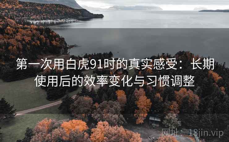 第一次用白虎91时的真实感受:长期使用后的效率变化与习惯调整 第一次用白虎91时的真实感受:长期使用后的效率变化与习惯调整