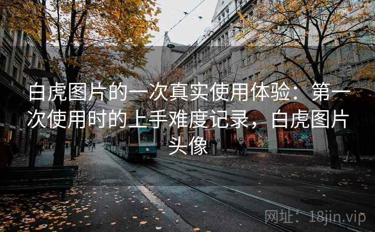 白虎图片的一次真实使用体验:第一次使用时的上手难度记录,白虎图片头像 白虎图片的一次真实使用体验:第一次使用时的上手难度记录,白虎图片头像